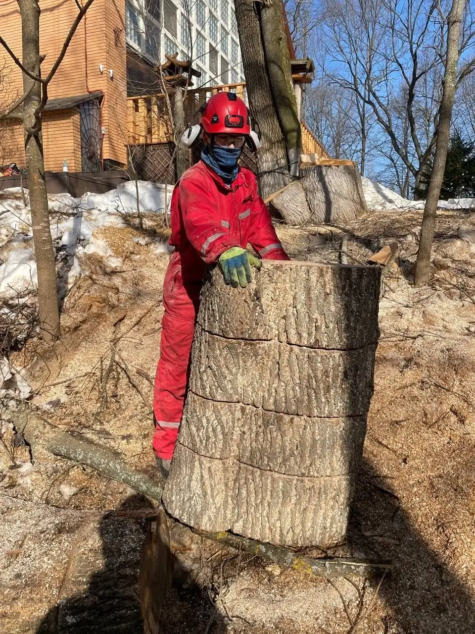 Услуги промышленного альпиниста и арбориста - Услуги в Красногорск