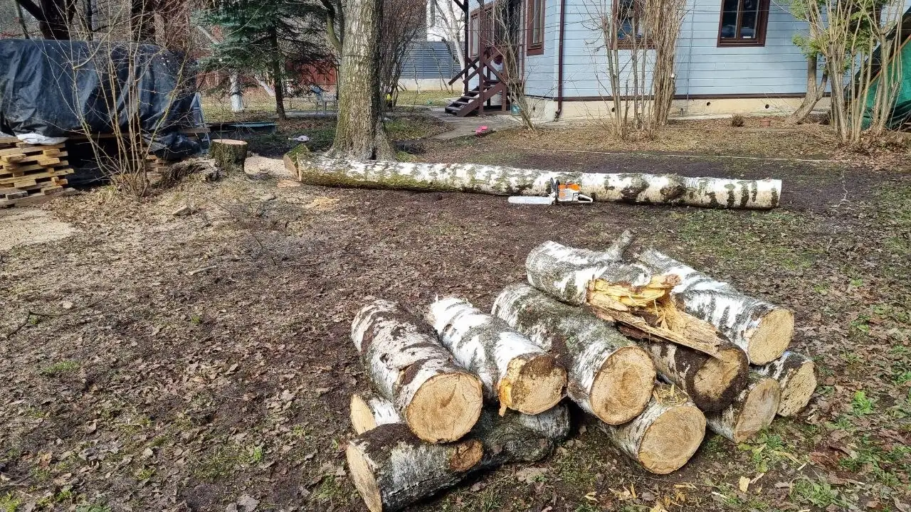 Услуги промышленного альпиниста и арбориста - Услуги в Красногорск