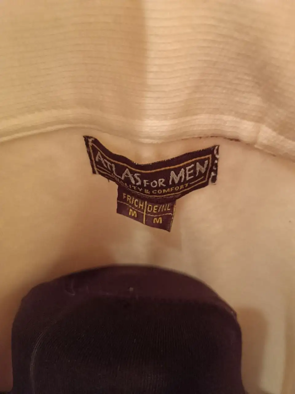 Мужская толстовка Atlas for men кремовая с коричневым - Мужская одежда (Одежда) в Красногорск