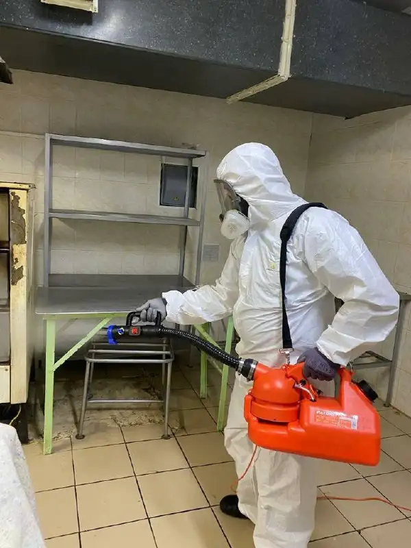 Услуги по защите дома от вредителей - Услуги по дезинсекции/дератизации (Услуги) в Красногорск