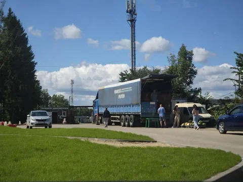 Арбузы в деревне Терехово - частное объявление в Красногорск