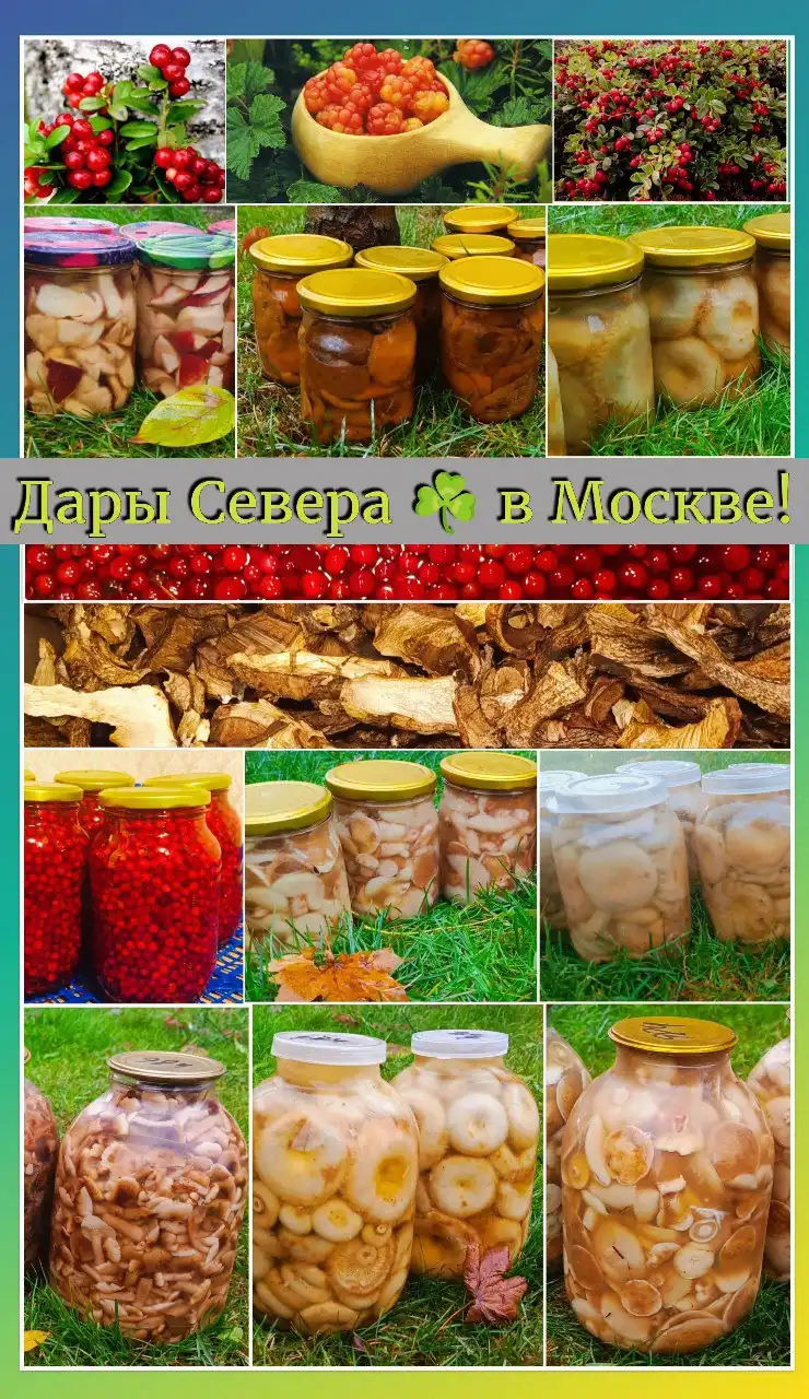 Свежее поступление соленых и маринованных грибов