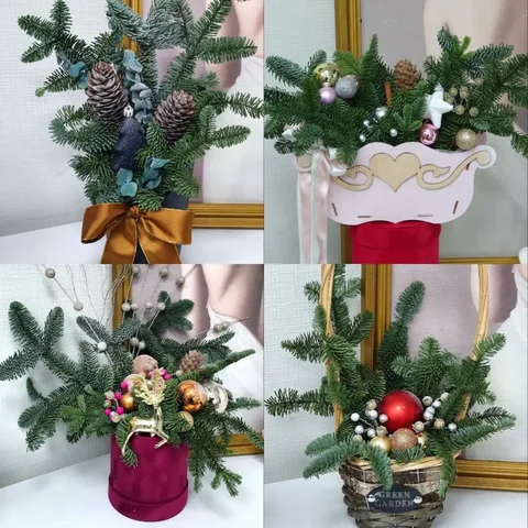 Живая пихта для новогоднего праздника - Хобби и отдых в Москва