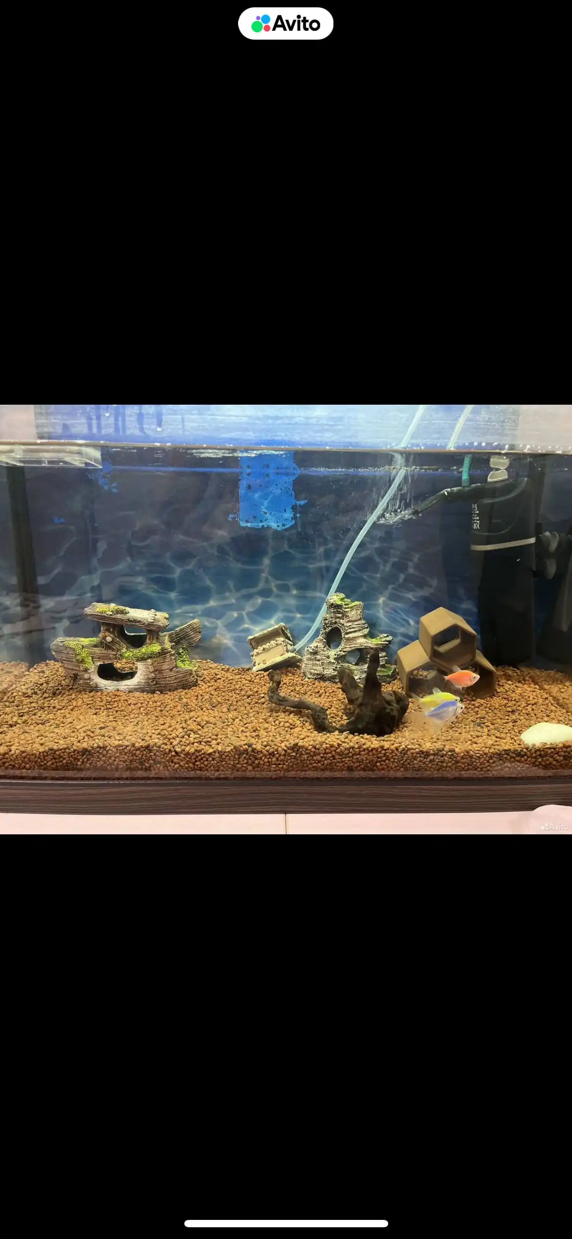 Продам аквариум 60л с фильтром и декором
