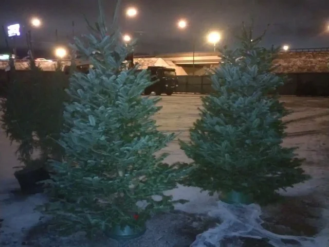 Продажа новогодних ёлок и услуг Деда Мороза - частное объявление в Москва