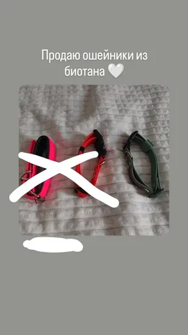 Ошейник из биотана ручной работы - Школьные товары в Москва