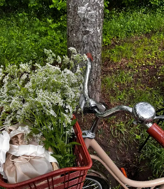 Женский винтажный велосипед Стелс - Съедобные подарки в Москва