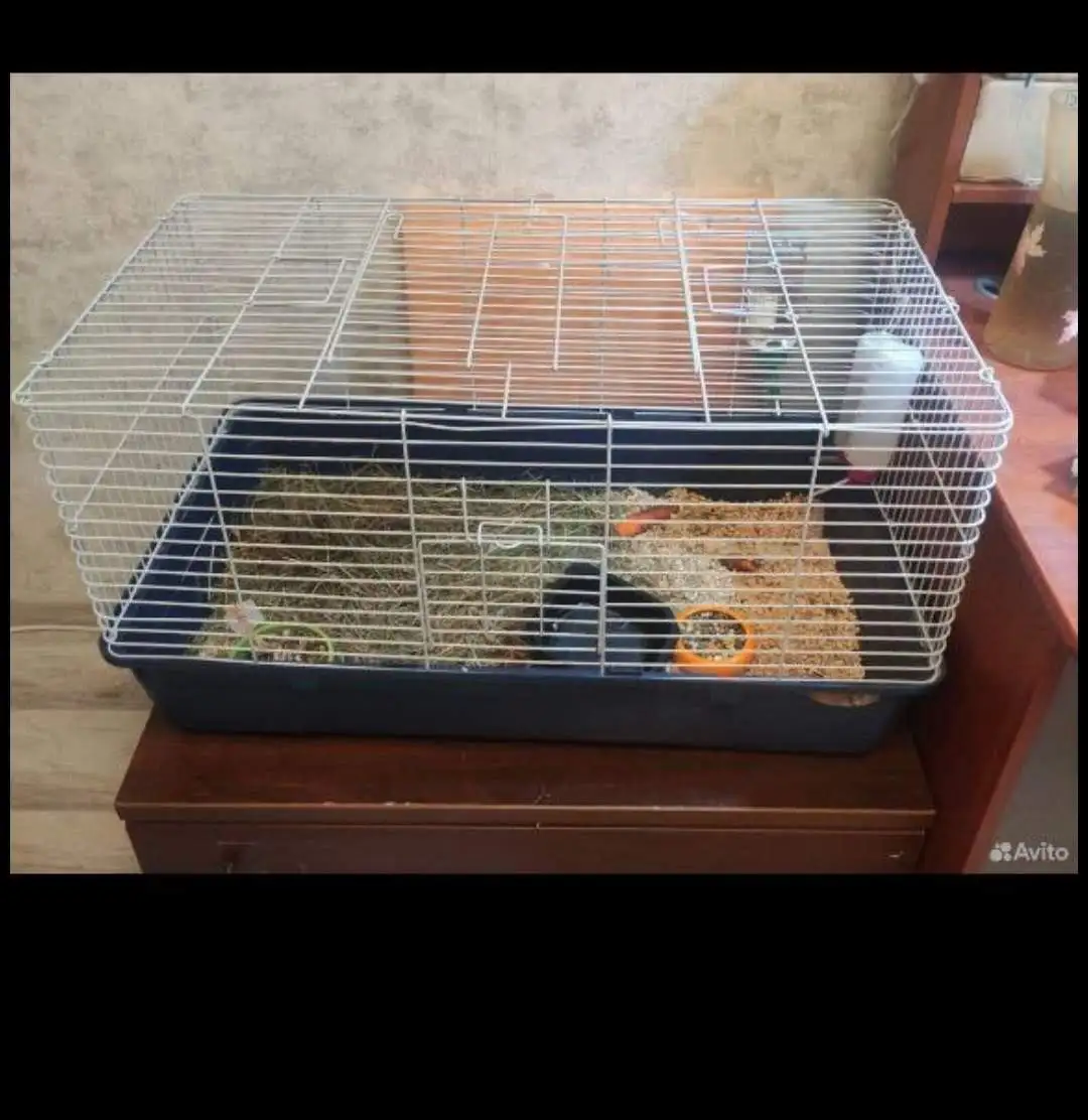 Клетка для грызунов с аксессуарами - Животные (Барахолка) в Москва