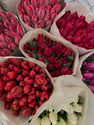 Предзаказ тюльпанов к 8 Марта - Антиквариат/Коллекции в Москва
