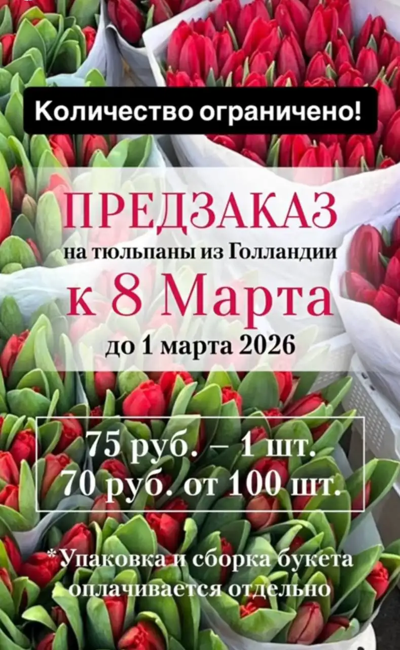Продажа тюльпанов - Растения (Барахолка) в Москва