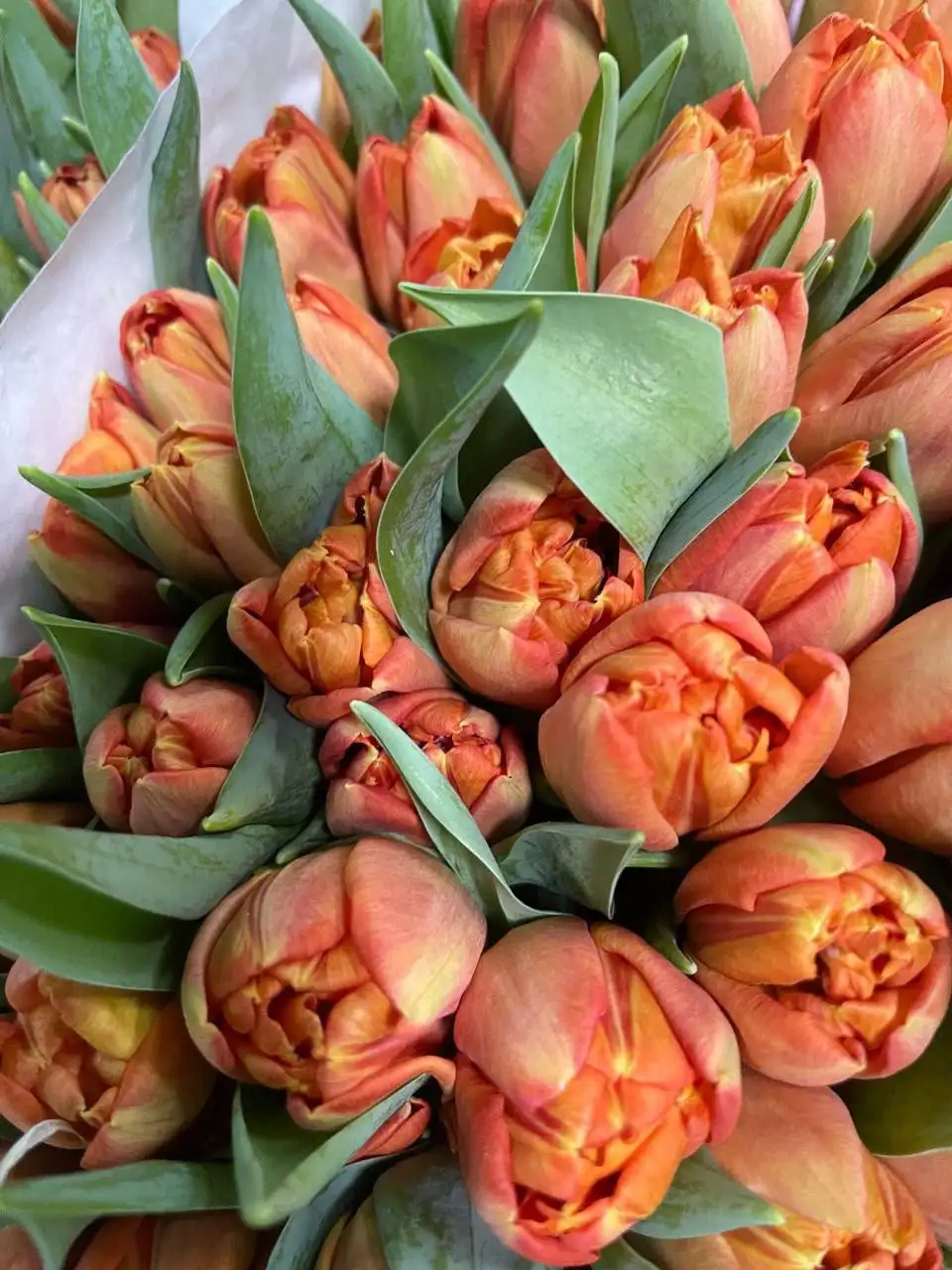 Букеты тюльпанов к 8 Марта с брендированием и доставкой - Доставка цветов (Услуги) в Москва