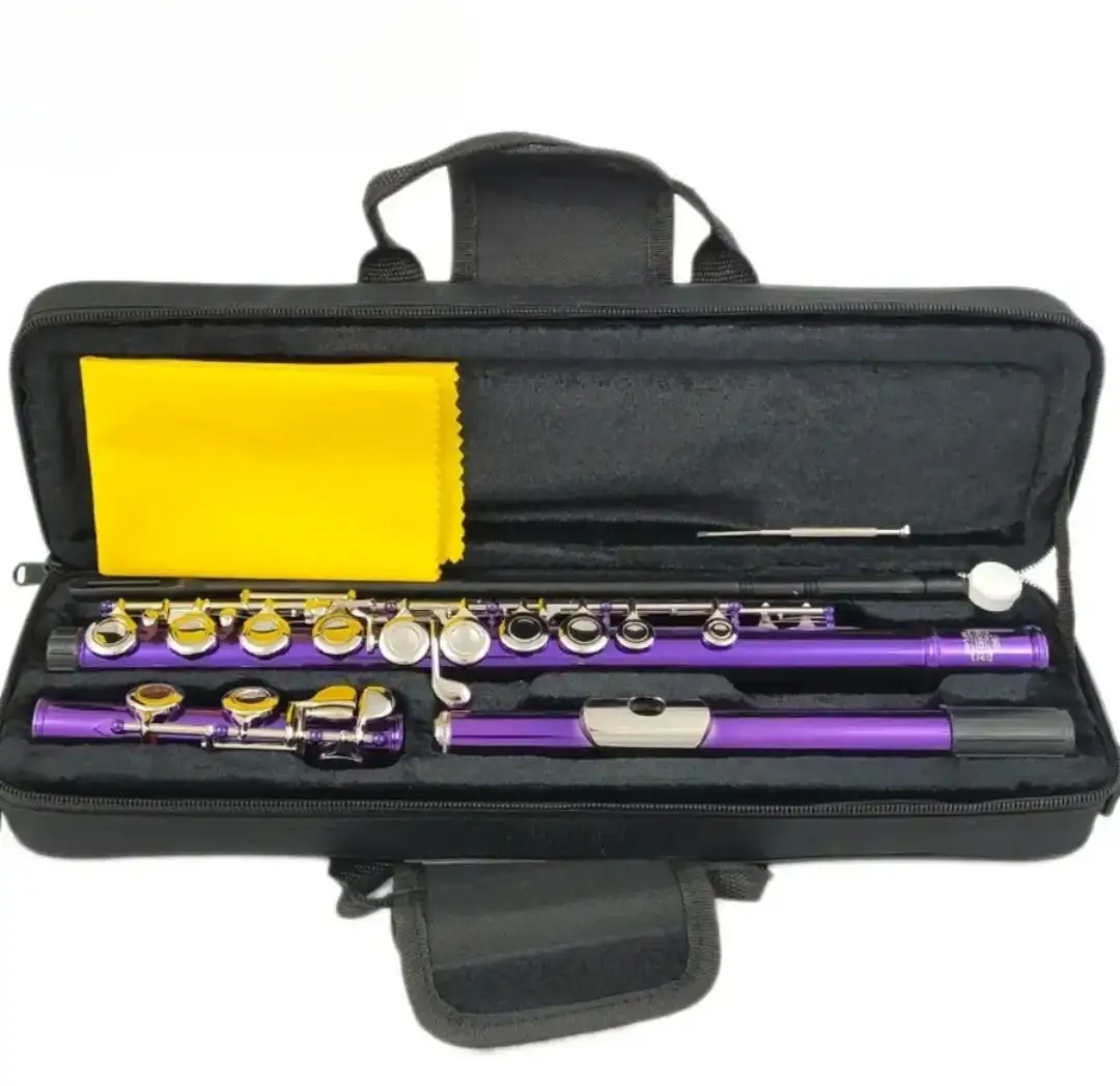 Флейта MORESKY C-major с пурпурным покрытием - Музыкальные инструменты (Хобби и отдых) в Москва