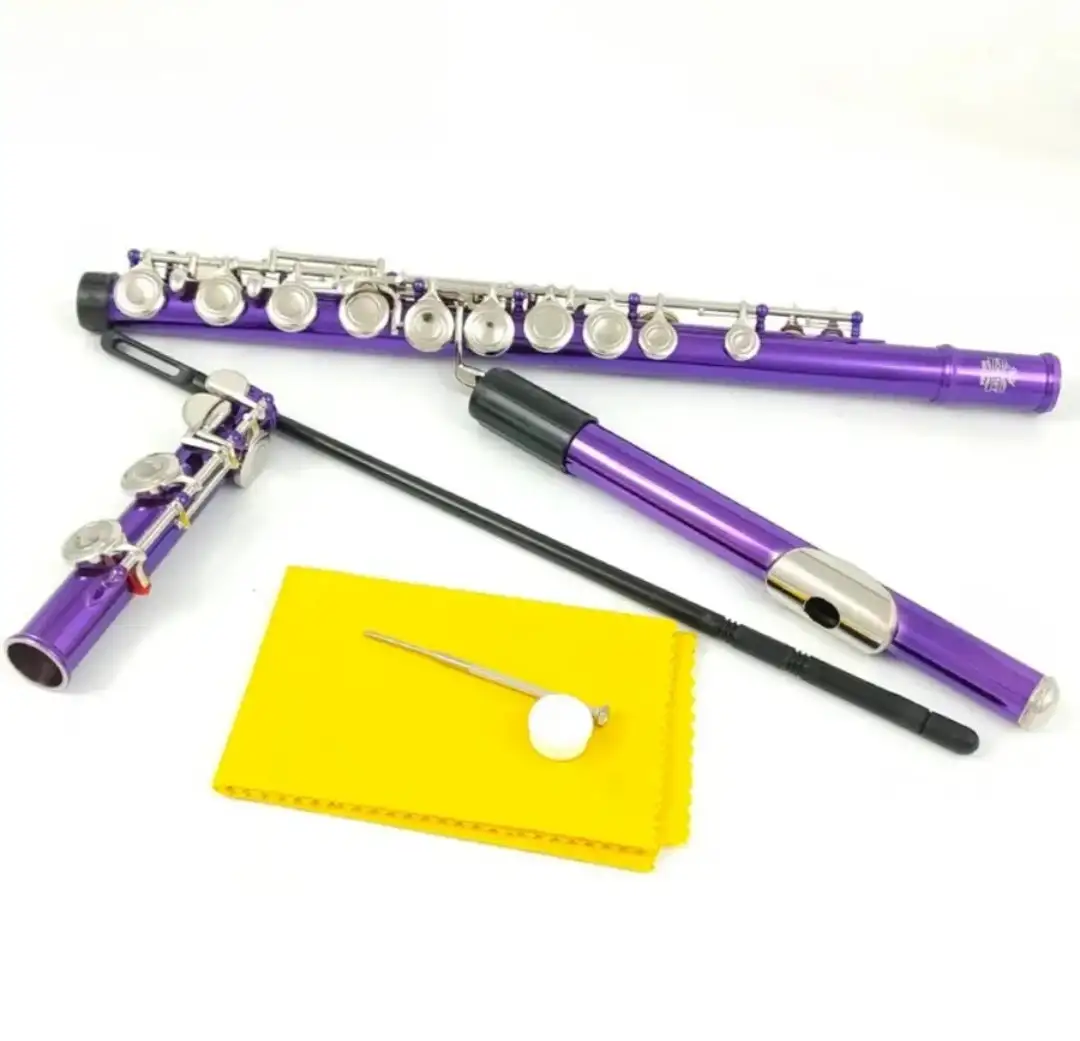 Флейта MORESKY C-major с пурпурным покрытием - Музыкальные инструменты (Хобби и отдых) в Москва