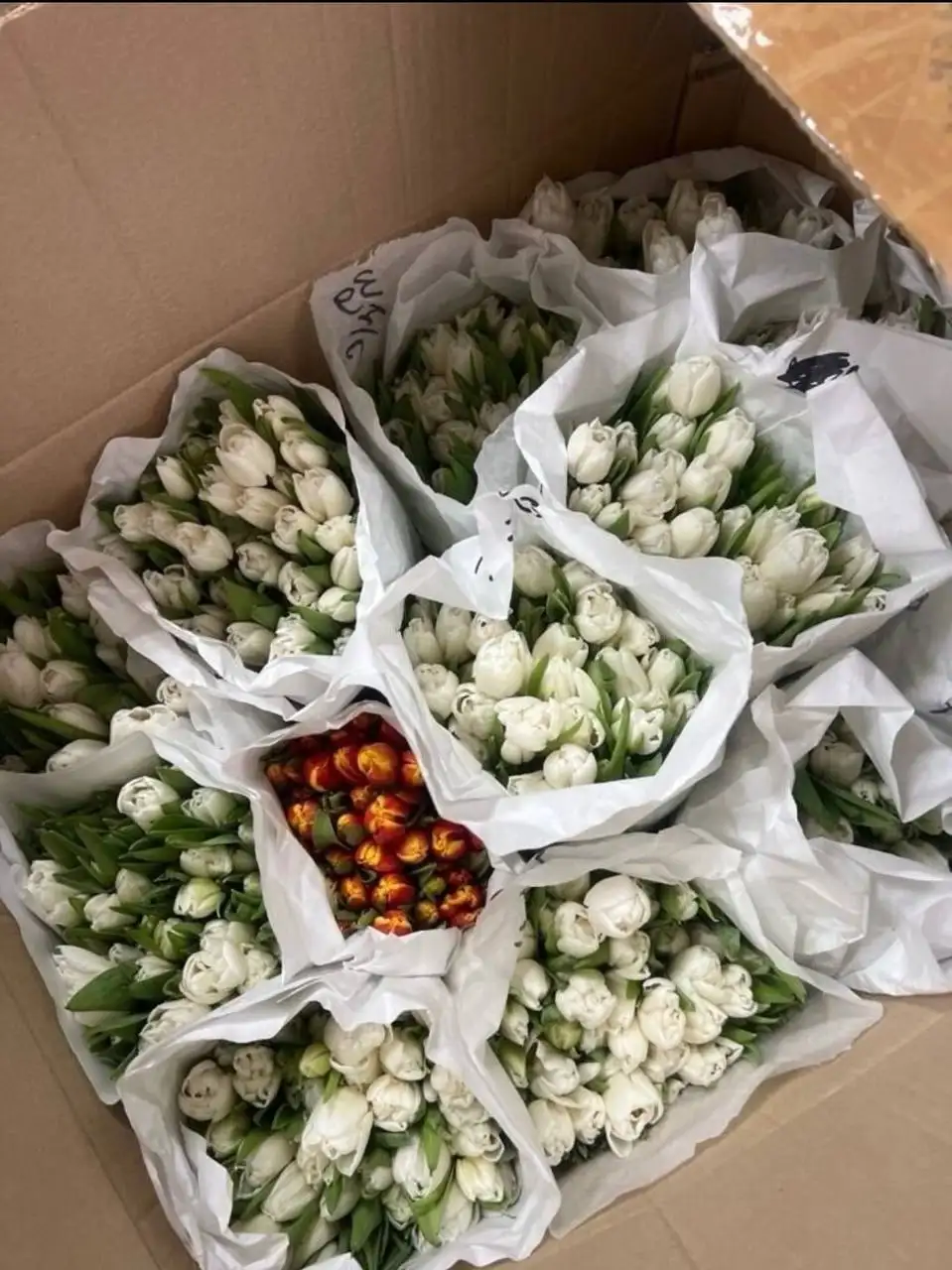 Тюльпаны к 8 Марта с доставкой - Цветы (Барахолка) в Москва