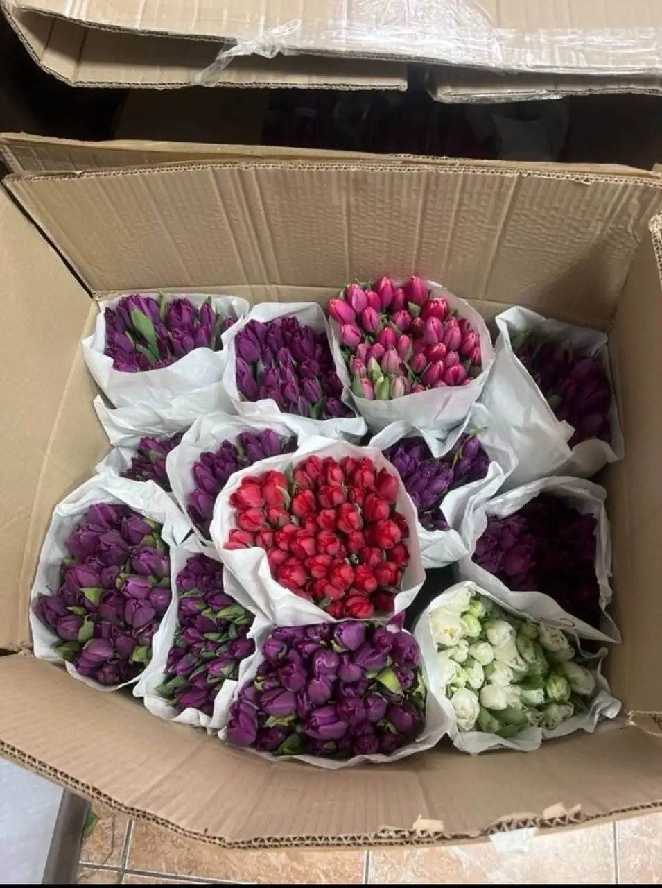 Тюльпаны к 8 Марта с доставкой - Цветы (Барахолка) в Москва