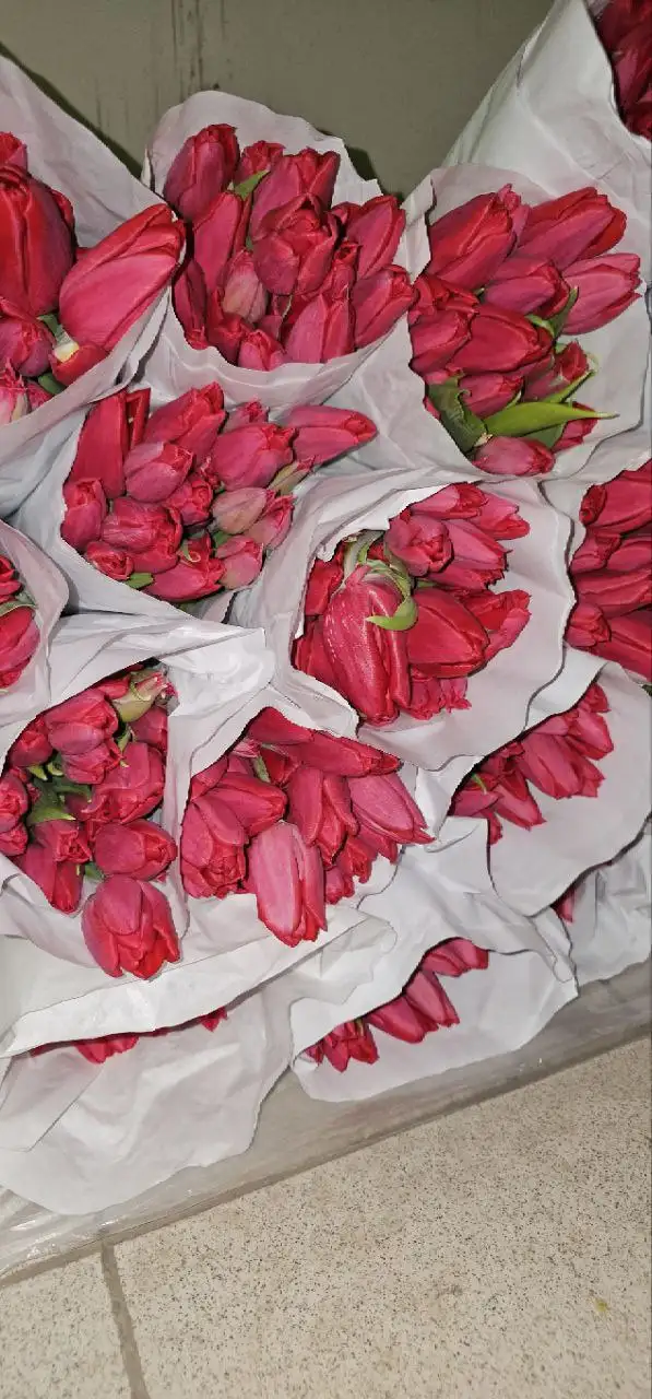 Шикарные букеты на 8 марта с доставкой - Цветы (Хобби и отдых) в Москва