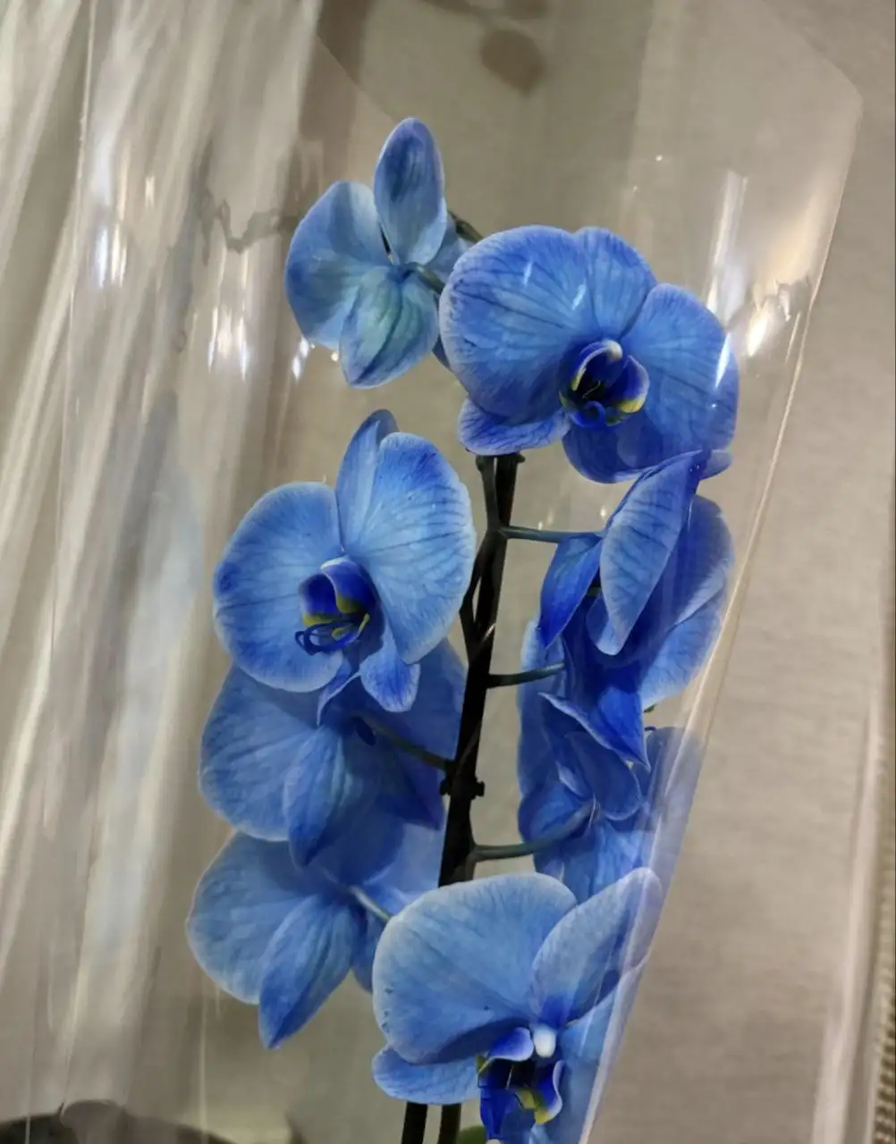 Продажа товара в Москве - Барахолка в Москва