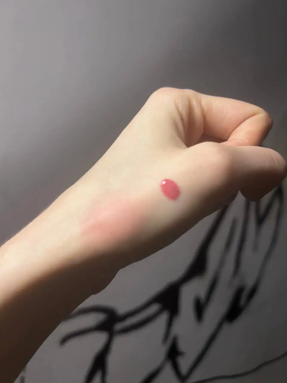 Продам блеск для губ и жидкие румяна - Косметика (Красота и здоровье) в Москва