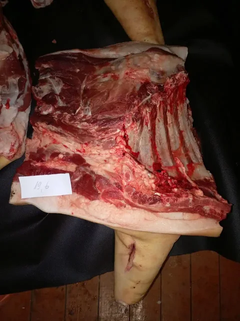 Продажа деревенского мяса - Хобби и отдых в Красноярск