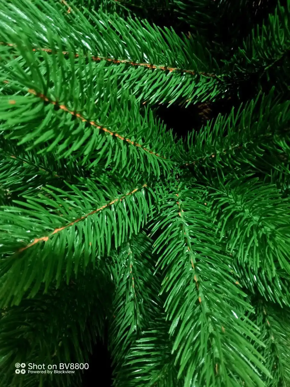 Финальная распродажа литых елей из силикона