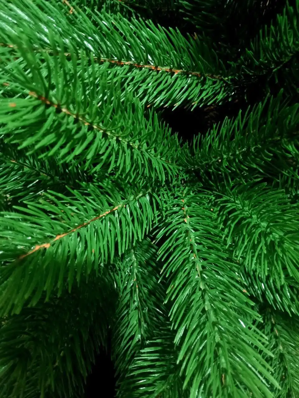 Финальная распродажа литых елей из силикона