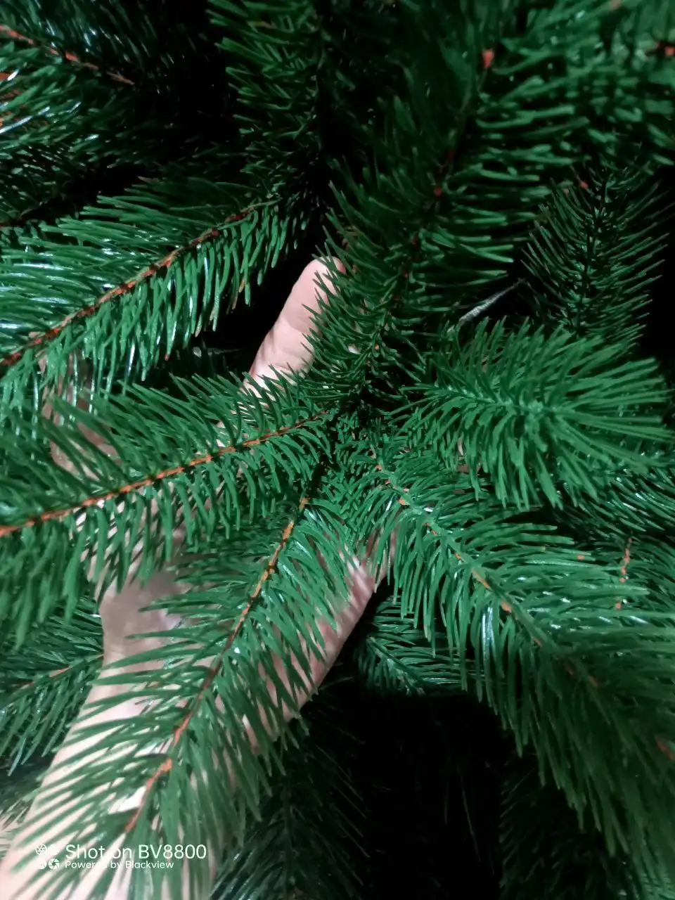 Финальная распродажа литых елей из силикона