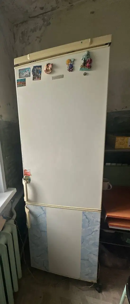 Холодильник Electrolux, нужен ремонт дверцы - Холодильники (Для дома и дачи) в Ярославль