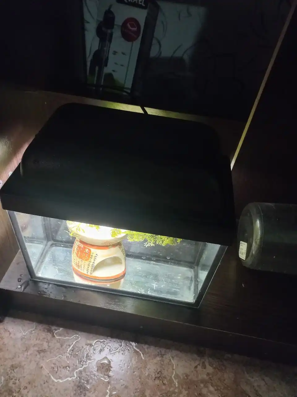 Аквариум с тумбой 240л - Аквариумистика (Хобби и отдых) в Ярославль