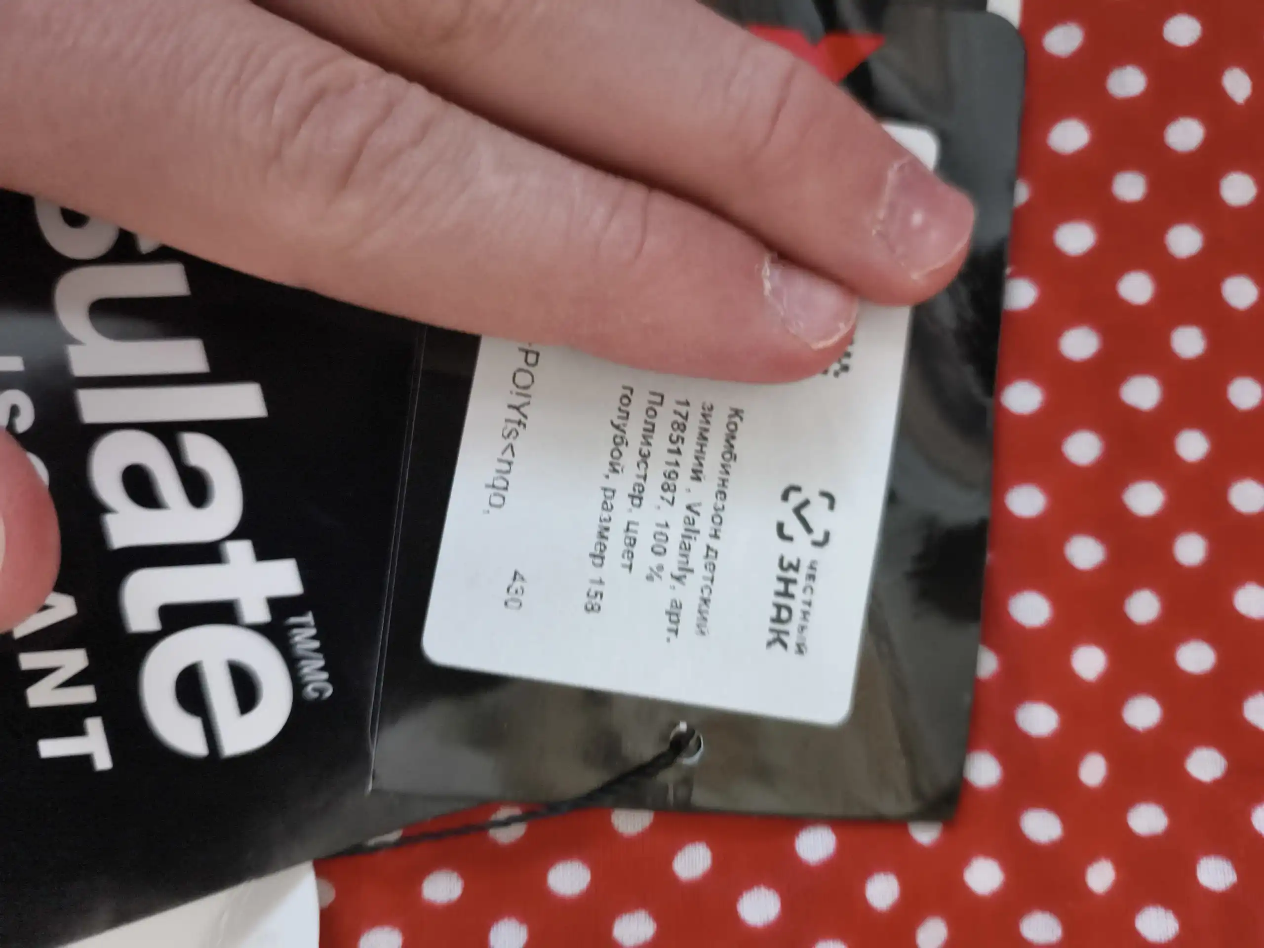 Продам зимний горнолыжный комбинезон VALIANLY - Спортивная одежда (Одежда) в Пермь