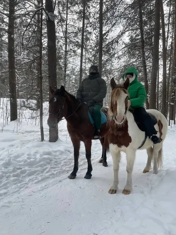 Прогулка на лошадях по зимнему лесу - подарок на 14 февраля - Хобби и отдых в Пермь