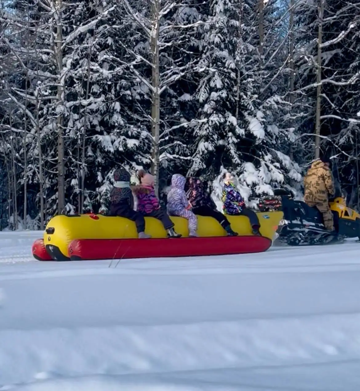 Проводы зимы для детей с животными и катанием - Детские праздники (Услуги) в Пермь