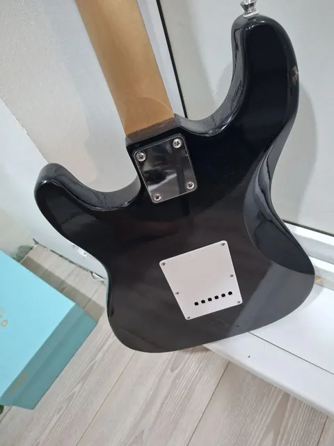 Продам электрогитару Terris с комбиком и комплектующими - Цветы в Пермь