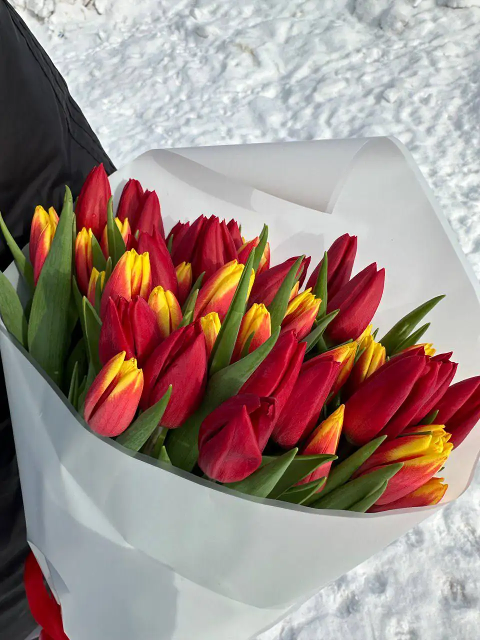 Предзаказ тюльпанов к 8 марта - Цветы (Хобби и отдых) в Пермь