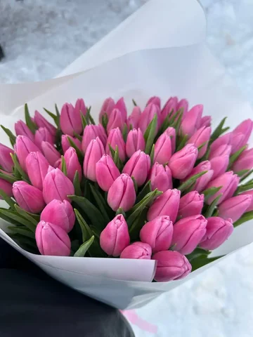 Предзаказ тюльпанов к 8 Марта - частное объявление в Пермь