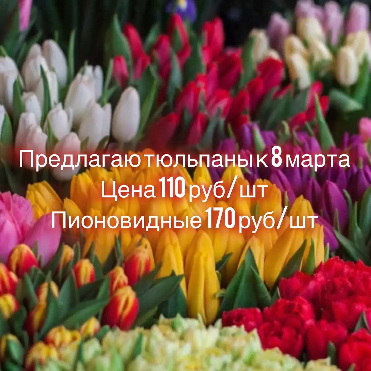 Продажа автомобиля Volkswagen Passat B5 в Перми - Легковые автомобили (Авто) в Пермь