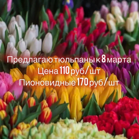 Продажа автомобиля Volkswagen Passat B5 в Перми - Шины в Пермь