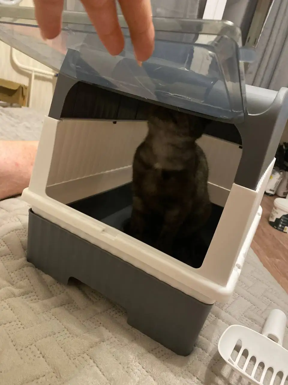 Продам новый домик-лоток - Игрушки (Товары для детей) в Пермь