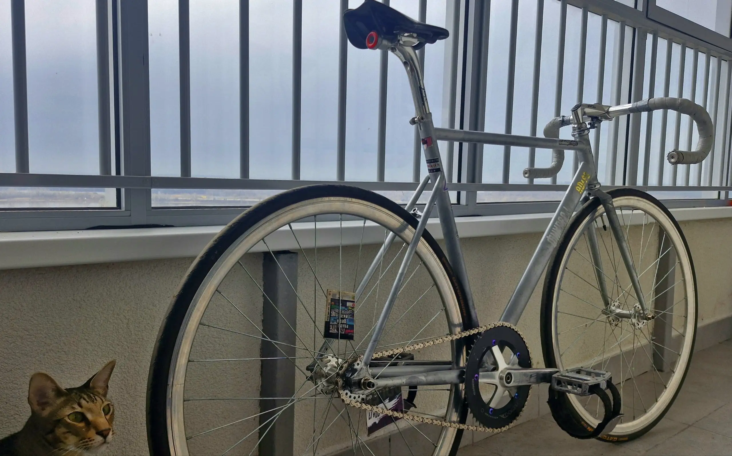 Велосипед Bearbike Milan 55 ростовка - Велосипеды (Хобби и отдых) в Пермь