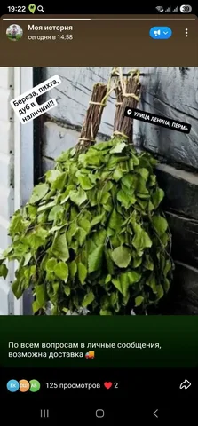 Веники березовые, пихтовые и дубовые в наличии - Хобби и отдых в Пермь