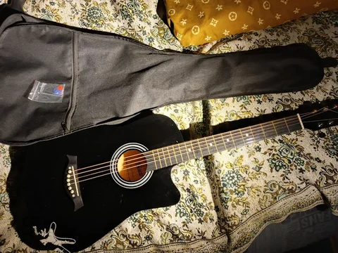 Продам гитару в Барнауле - Растения/Цветы в Барнаул