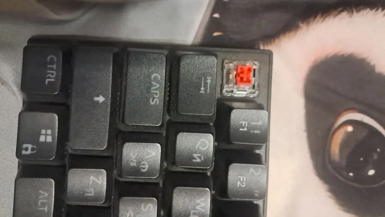 Механическая клавиатура 60% с красными свитчами - Компьютерная периферия (Электроника) в Барнаул