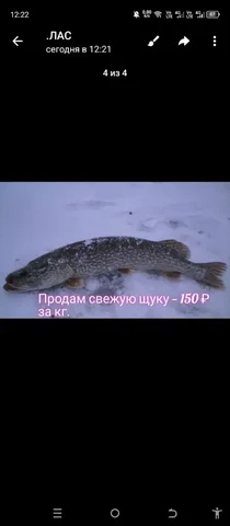 Объявление о продаже в Барнауле - Светильники и освещение в Барнаул