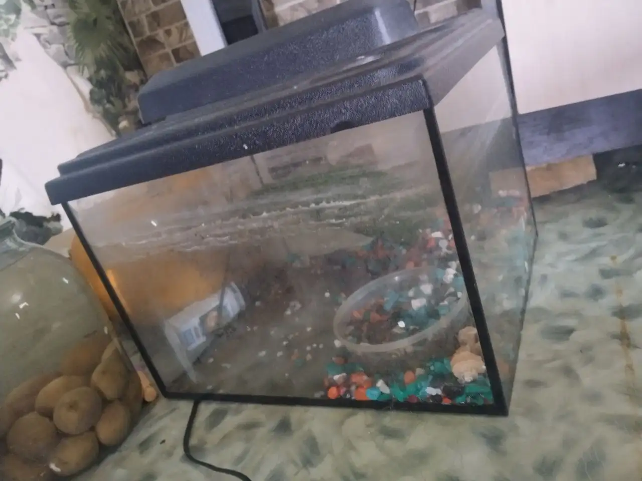 Продам аквариум 25л для рыбок или черепах - Аквариумистика (Животные) в Барнаул