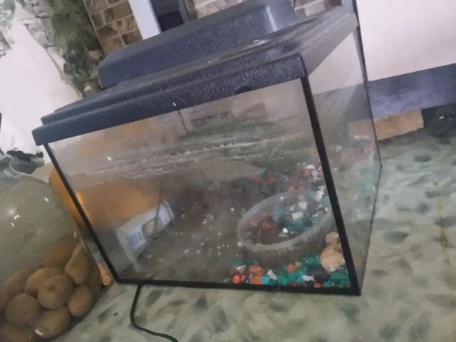 Продам аквариум 25л для рыбок или черепах - Аквариумистика в Барнаул