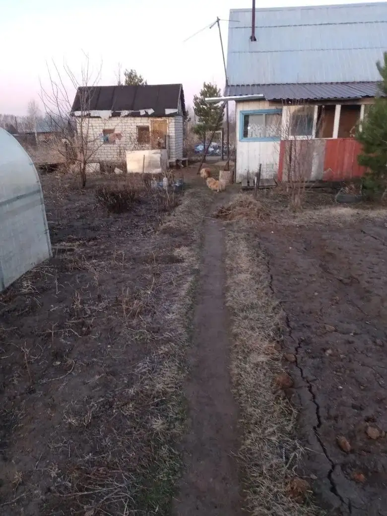 Продажа дачи с участком 10 соток в Черемном - Дачи (Недвижимость) в Барнаул