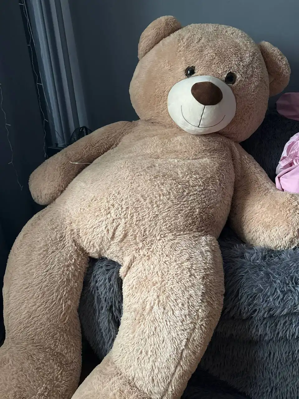 Продажа медведя - Экзотические животные (Животные) в Барнаул