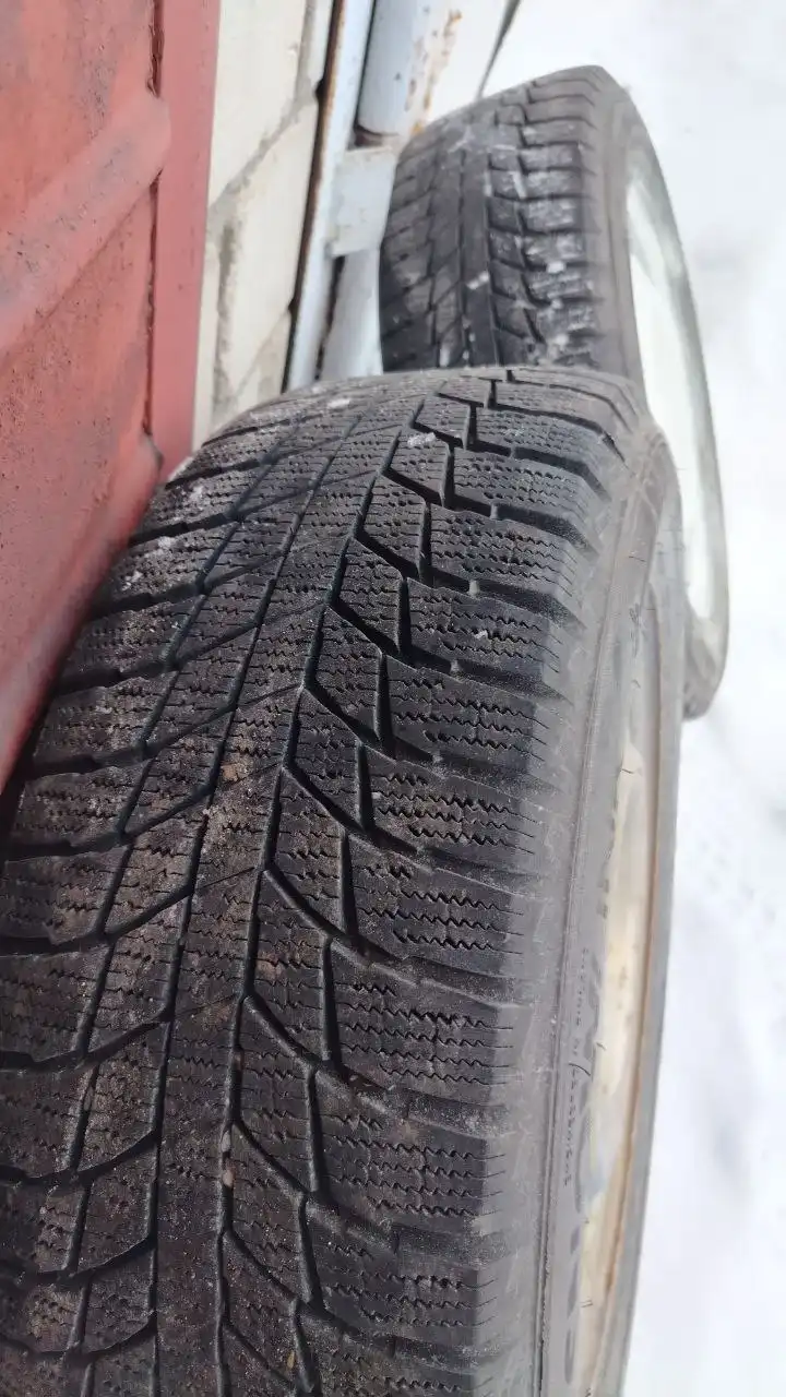 Шины зимние 195/65 R15 - Шины и диски (Авто) в Барнаул