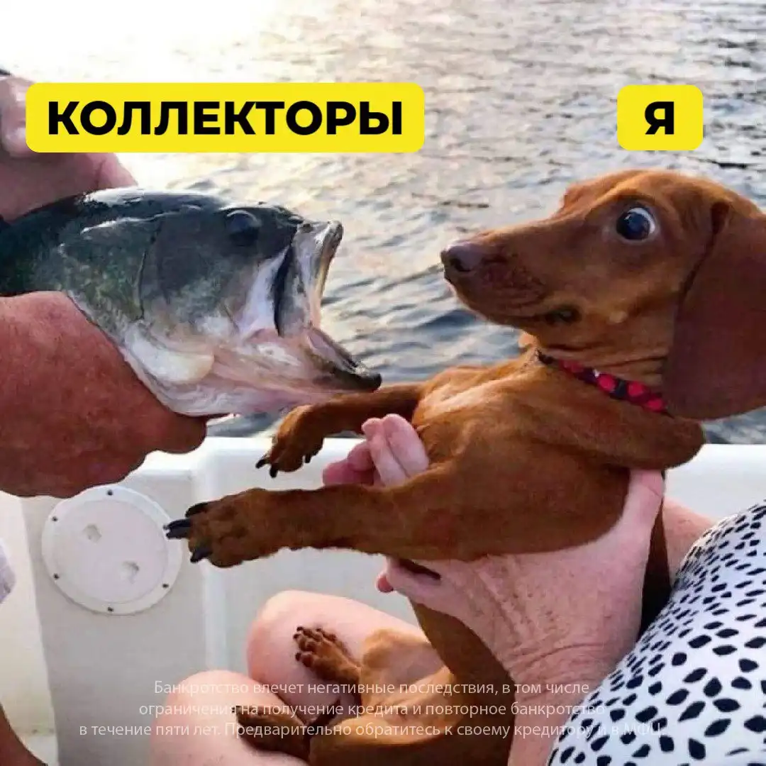 Юридическое сопровождение процедуры банкротства физических лиц - Юридические услуги (Услуги) в Ульяновск