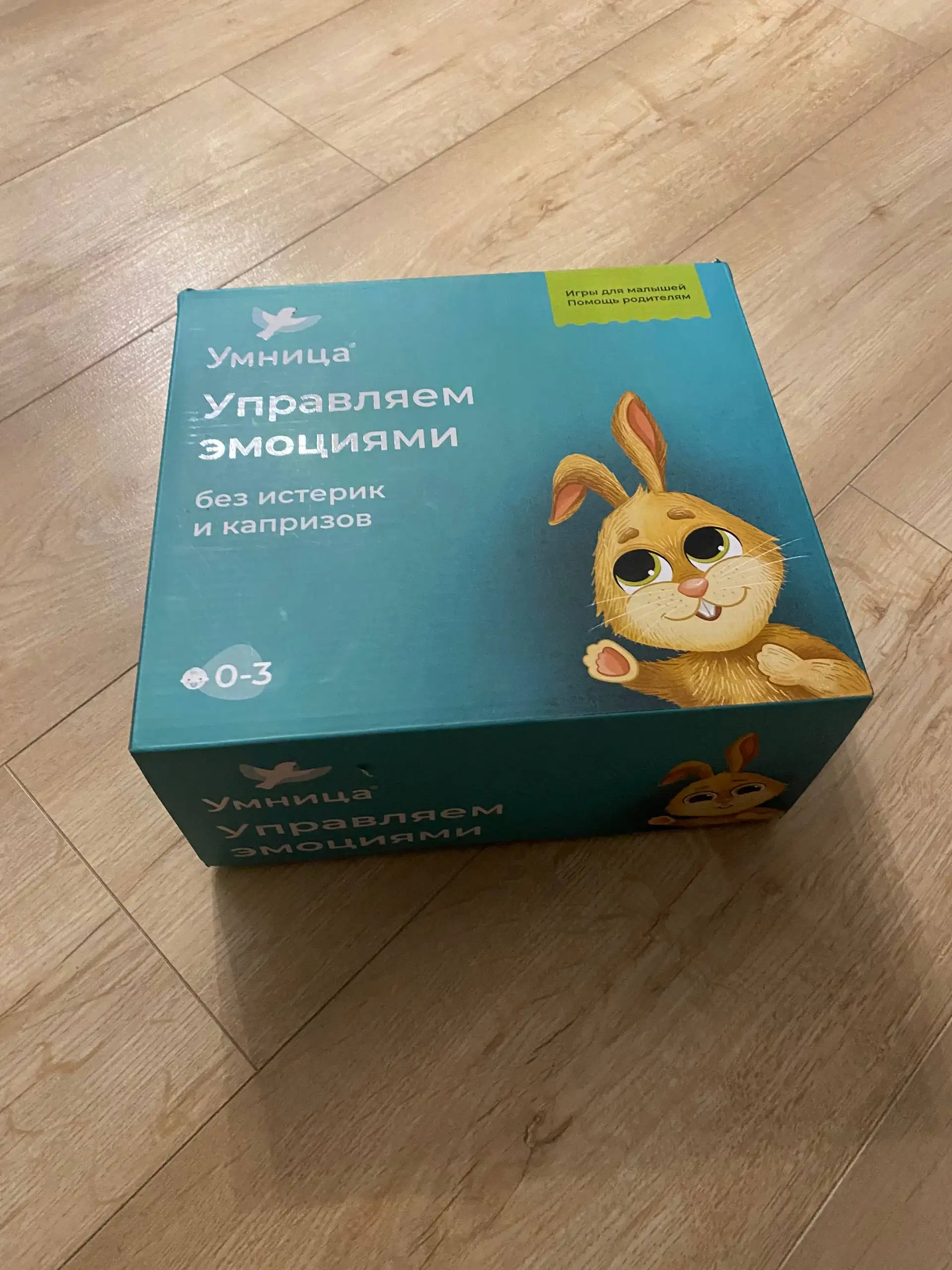 Развивашки для детей - Развивающие игрушки (Товары для детей) в Ульяновск