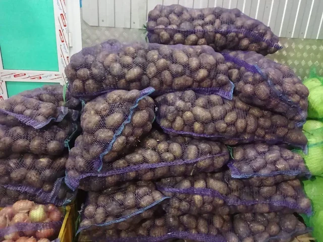 Продажа картофеля сорт Гала из Чувашии - Растения и семена в Ульяновск